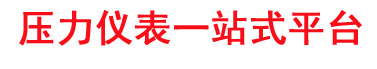 重庆川仪/川仪压力表/WIKA压力表-宝博流体控制设备（武汉）有限公司